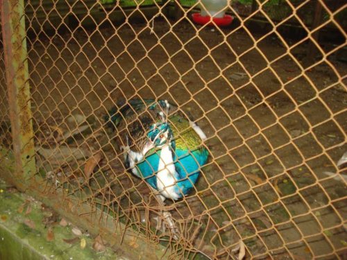 DSC03776_1